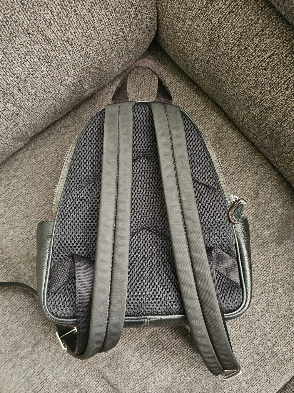 Coach carry print bold